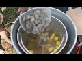 academy sports 60qt seafood boil pot