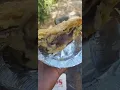 Shell Garage bad experience