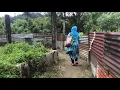 Download Lagu @ Baruang-Baruang , Bukik Apik
