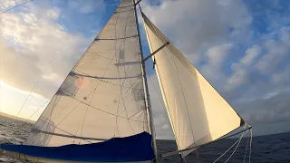 Sunset Gullwing Sailing #shorts