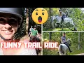 Download Lagu Funny trail ride! 🤣 Reintje, Hester, Richtsje and Waloubet the jumping horse | Friesian Horses