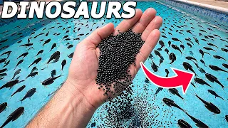 I Hatched 1 000 000 Dinosaurs 300 Million Years Old