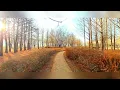 Tristesse - Hauser(슬픔 - 하우저)