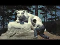 Where Did the Penn State Nittany Lion Shrine Come From