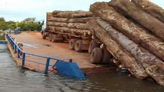 Dangerous Heavy Chainsaw Tree Felling & Wood Sawmill Machines, Fastest Logging Wood Truck Powerful