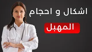 طبيب للصحة لماذا يختلف شكل المهبل عند النساء  طبيب للصحة لماذا يختلف شكل المهبل عند النساء