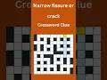 Narrow fissure or crack Crossword Clue