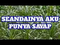 Download Lagu SEANDAINYA AKU PUNYA SAYAP,VANNY VABIOLA