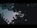 Evergreen by Leanne and Naara (a short lyric video)