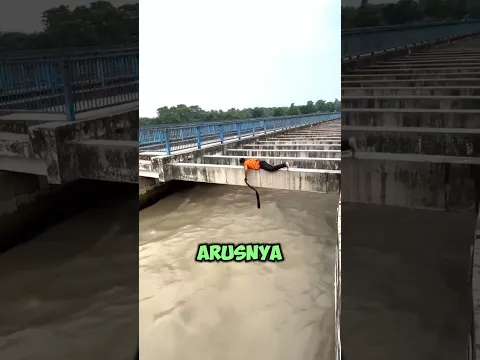 Telat 2 Detik Aja, Mungkin Itu Jadi Hari Terakhir Temannya! #shorts