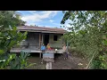 Download Lagu TANAMAN TRANSMIGRAN INI SUNGGUH RAPI DAN INDAH! MENIKMATI BERTANI DI LAHAN PASANG SURUT KALIMANTAN