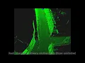 MLS Change Detection