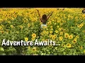 VISIT MONTGOMERY COUNTY