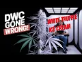 When DWC Strikes Back White Truffle Ice Cream Update