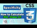 CSS Specificity Cascading How CSS Resolves Conflicts CSS Course Tutorial