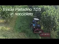 Download Lagu Trincia Palladino TDS in noccioleto