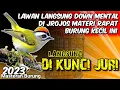 Download Lagu LANGSUNG DI KUNCI JURI DI GANTANGAN || SUARA BURUNG KECIL TEMBAKAN RAPAT - MATERI RAPAT NGEDUR