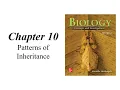 BC BSC1005 Chapter 10 Patterns of Inheritance