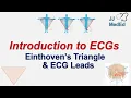 Introduction to ECG The Basics Einthoven s Triangle Limb Augmented and Precordial Leads