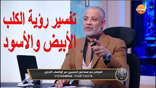 تفسير رؤية الكلب الأسود والأبيض في المنام اسماعيل الجعبيري 