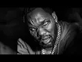 Bear Hill - Raekwon