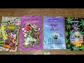 attitude seed bank christmas order theattitudeseedbank