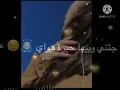 نصرت البدر/جتني/ تصميم شاشة سوداء ◼♥️ اغاني عراقية حزينة .🎶💔 حالات حزينةواتساب