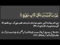 Download Lagu Best Tajweed of Siddiq Minshawi Surah Qaaf and Surah Rehman with Sindhi and Urdu Translation