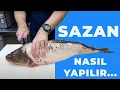 Download Lagu SAZAN NASIL TEMİZLENİR VE PİŞİRİLİR HOW TO CLEAN AND COOK CARP (BALIK TEMİZLEME)