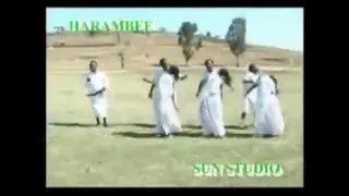 Oromo Music Abdi Ibrahim Shamarran Aadiyye 