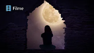 اغنية نفسى اشوف الشمس للفنان هانى شاكر 