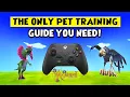 Wizard101 CONSOLE The BEST Pet Training Guide For Beginners