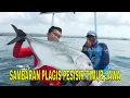 [FULL] SAMBARAN PLAGIS PESISIR TIMUR JAWA | MANCING MANIA STRIKE BACK (02/11/25)