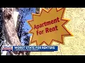 Florida ranked worst state for renters but Jacksonville offers a cheaper alternative