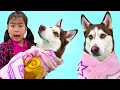 Download Lagu Jannie and Eric Play with a Husky Dog | Kids Take Care of Dogs with Food and Toys