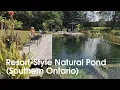 Download Lagu Quiet Nature - Resort-Style Natural Swimming Pond in Southern Ontario