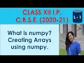 Using numpy arrays in Panda Class XII I P 2020-21 Complete lectures