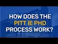 How does the Pitt IE P Process Work