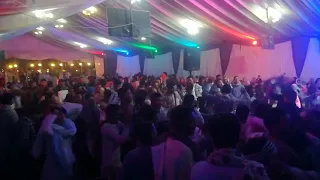 الحلوانى مخليها دمار مع افراح المطاعنه دندنها