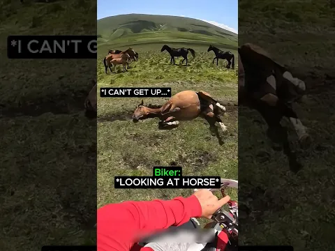 This Dirt Biker Saved a Horse That Couldn't Get Up π₯Ήπ΄β€οΈ