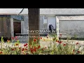 David Mankin - Voyages