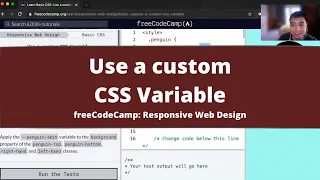 Use a custom CSS Variable Basic CSS freeCodeCamp tutorial