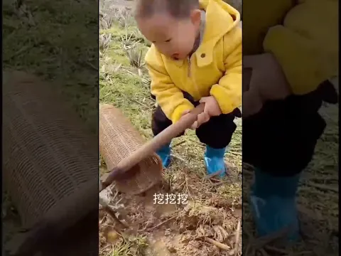 पापा ने बच्चे को खाना क्यों नहीं दिया 😒#emotional #trending #facts
