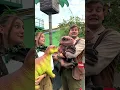 Download Lagu 😍 Aaaw de babydino’s zijn super cute! 🦕🦖 #dinoweken @dinosaurussen #juliaantoren #pretpark # shorts