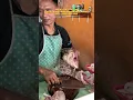 Download Lagu DULU USAH PELIHARA AYAM BANGKRUT GARA GARA PANDEMI!! SEKARANG BERALIH POTONG AYAM YANG MENGUNTUNGKAN
