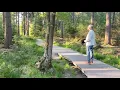 Download Lagu Lit my skûlje - Gerard Rinsma (vrij naar Psalm 42)