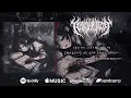Download Lagu TERMINAL DECAY - SHADOWS OF INK AND SORROW [SINGLE] (2024) SW EXCLUSIVE