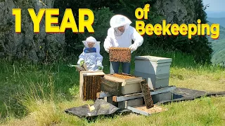 My First Year of Beekeeping Business - Was It Profitable