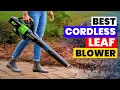 The 6 Best Cordless Leaf Blowers of 2026 Top 6 Battery Leaf Blowers of 2026 Tested Ranked