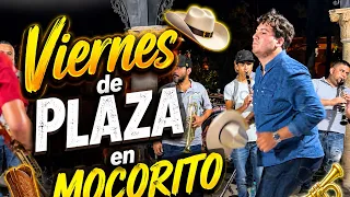 VOLVÍMOS A MOCORITO PERO AHORA A ESTO-EL CHIQUETE